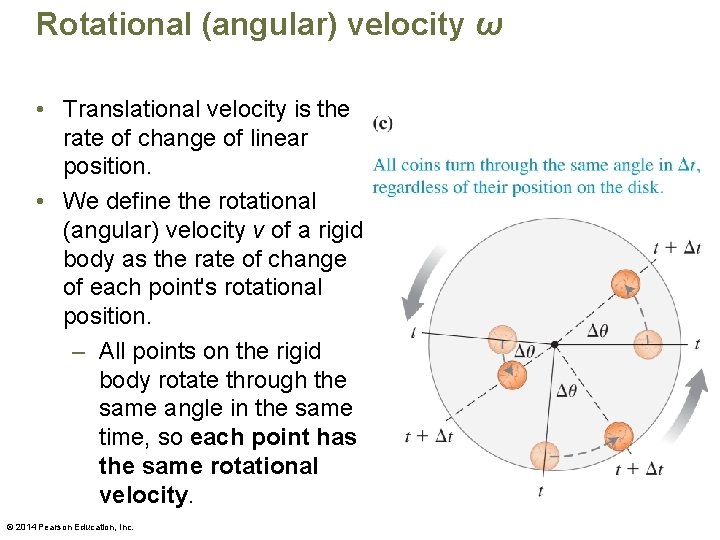 Rotational (angular) velocity ω • Translational velocity is the rate of change of linear