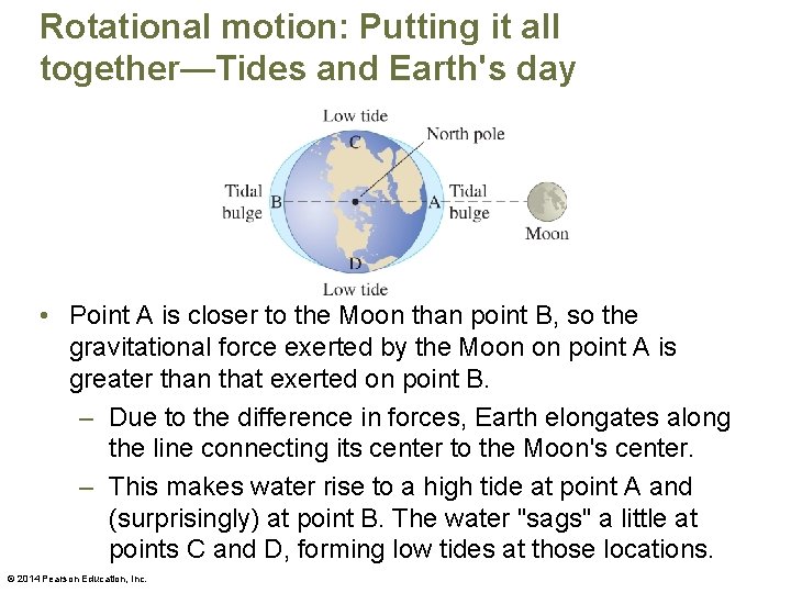 Rotational motion: Putting it all together—Tides and Earth's day • Point A is closer