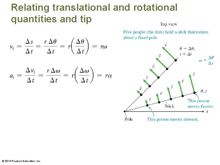 Relating translational and rotational quantities and tip © 2014 Pearson Education, Inc. 