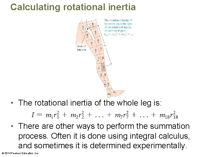 Calculating rotational inertia • The rotational inertia of the whole leg is: • There