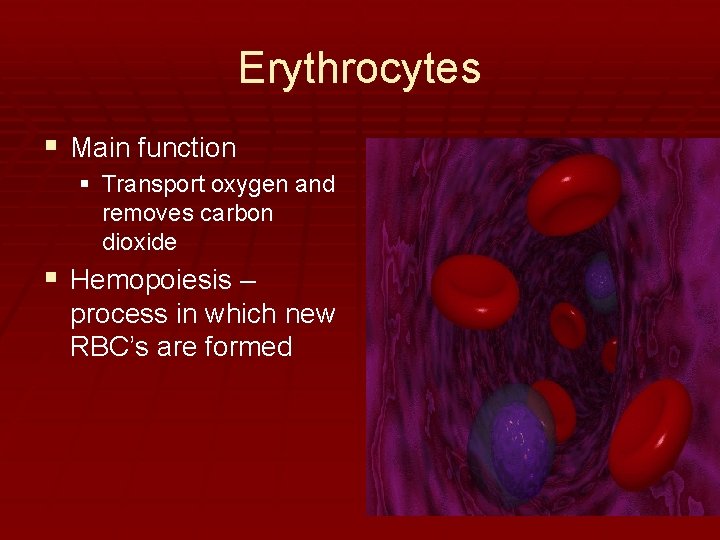 Erythrocytes § Main function § Transport oxygen and removes carbon dioxide § Hemopoiesis –