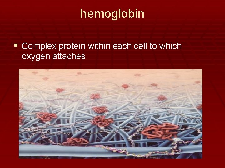 hemoglobin § Complex protein within each cell to which oxygen attaches 