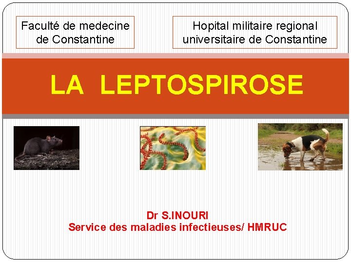 Faculté de medecine de Constantine Hopital militaire regional universitaire de Constantine LA LEPTOSPIROSE Dr