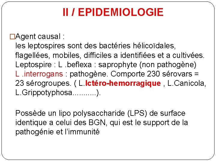 II / EPIDEMIOLOGIE �Agent causal : les leptospires sont des bactéries hélicoïdales, flagellées, mobiles,
