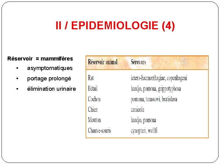 II / EPIDEMIOLOGIE (4) Réservoir = mammifères • asymptomatiques • portage prolongé • élimination