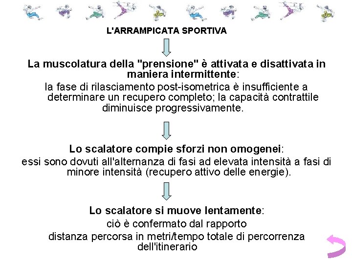 L'ARRAMPICATA SPORTIVA La muscolatura della "prensione" è attivata e disattivata in maniera intermittente: la L'ARRAMPICATA SPORTIVA La muscolatura della "prensione" è attivata e disattivata in maniera intermittente: la