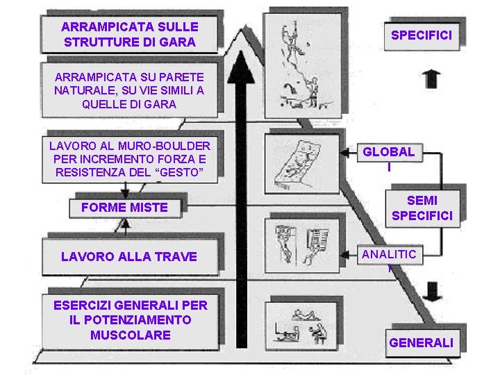 ARRAMPICATA SULLE STRUTTURE DI GARA SPECIFICI ARRAMPICATA SU PARETE NATURALE, SU VIE SIMILI A ARRAMPICATA SULLE STRUTTURE DI GARA SPECIFICI ARRAMPICATA SU PARETE NATURALE, SU VIE SIMILI A