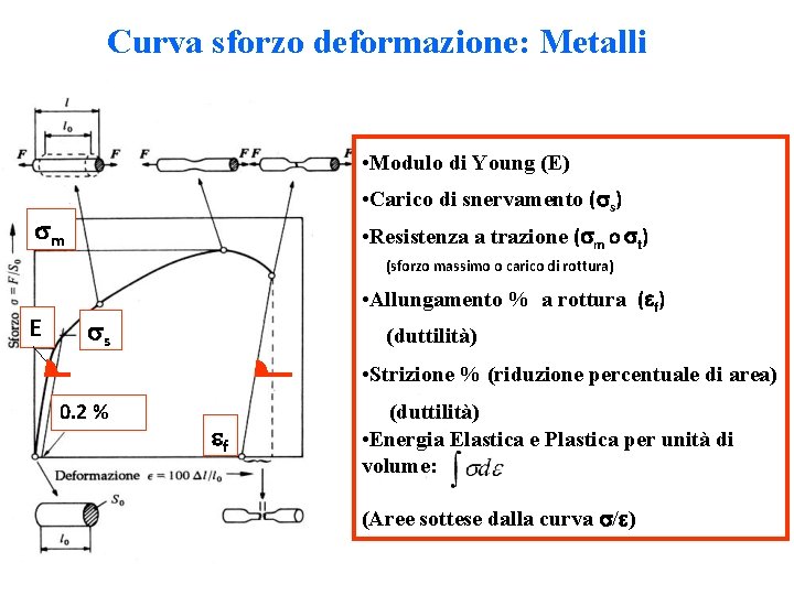 Curva sforzo deformazione: Metalli • Modulo di Young (E) • Carico di snervamento ( Curva sforzo deformazione: Metalli • Modulo di Young (E) • Carico di snervamento (