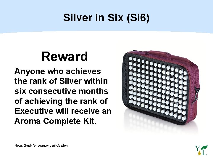 Silver in Six (Si 6) Reward Anyone who achieves the rank of Silver within