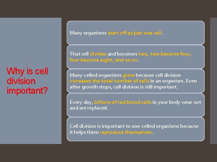 Many organisms start off as just one cell. That cell divides and becomes two,