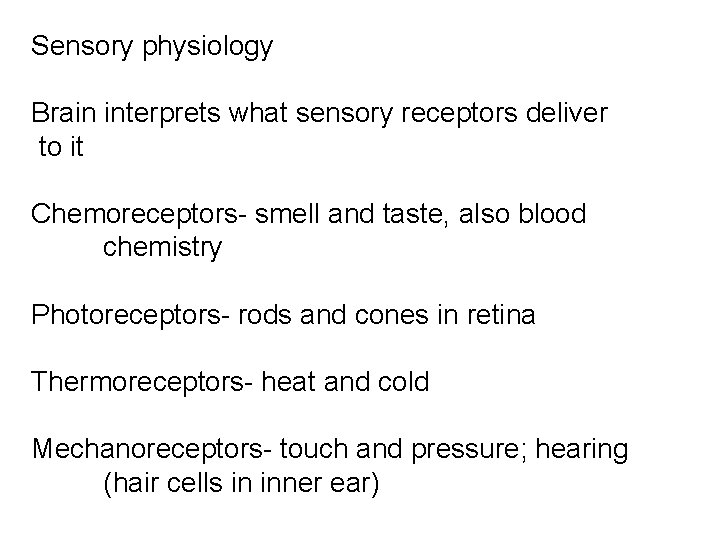 Sensory physiology Brain interprets what sensory receptors deliver to it Chemoreceptors- smell and taste,