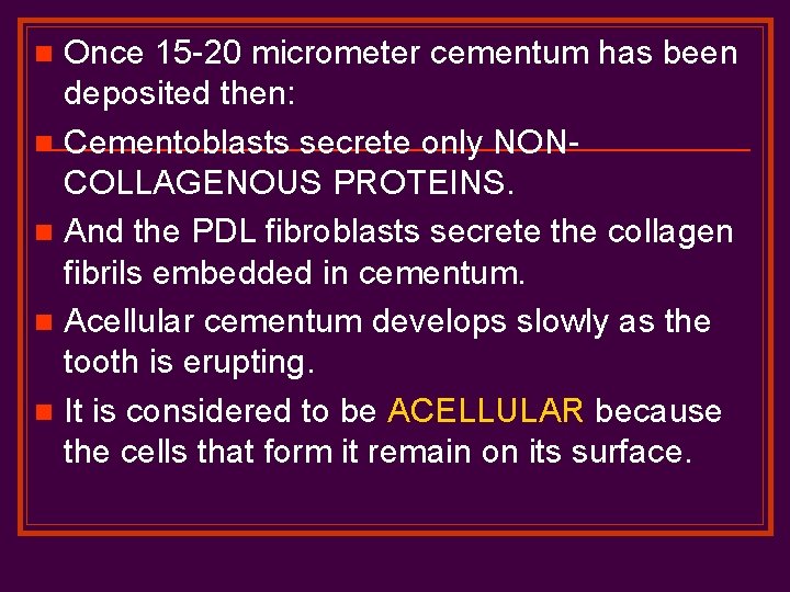 Once 15 -20 micrometer cementum has been deposited then: n Cementoblasts secrete only NONCOLLAGENOUS