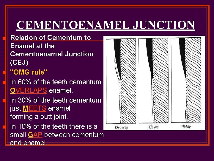 CEMENTOENAMEL JUNCTION n n n Relation of Cementum to Enamel at the Cementoenamel Junction