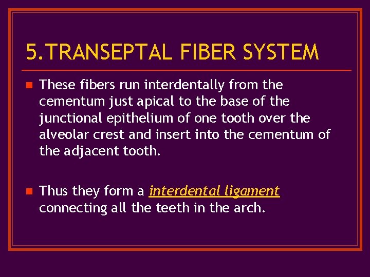 5. TRANSEPTAL FIBER SYSTEM n These fibers run interdentally from the cementum just apical