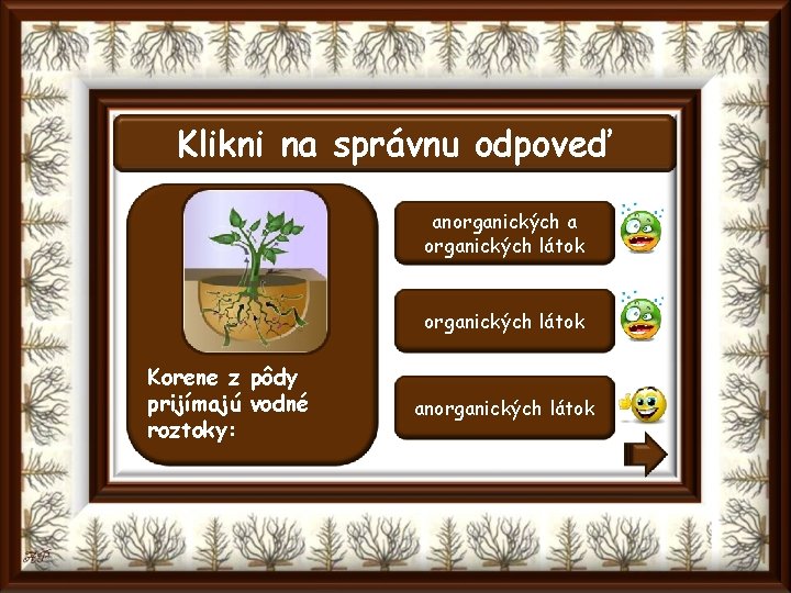 Klikni na správnu odpoveď anorganických a organických látok Korene z pôdy prijímajú vodné roztoky: