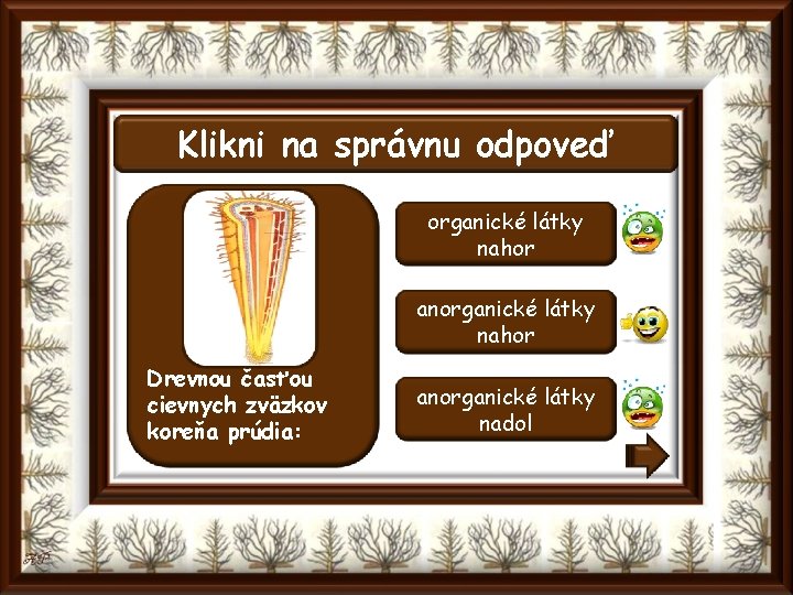 Klikni na správnu odpoveď organické látky nahor anorganické látky nahor Drevnou časťou cievnych zväzkov