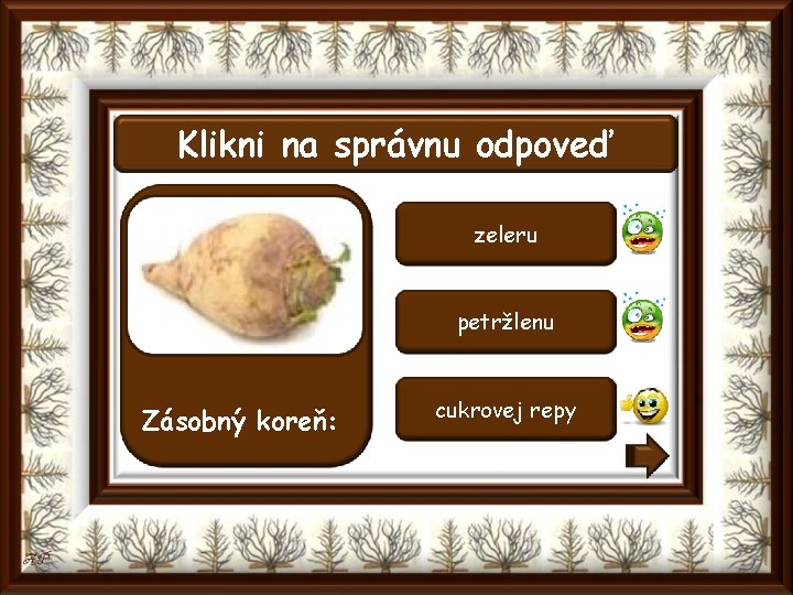 Klikni na správnu odpoveď zeleru petržlenu Zásobný koreň: cukrovej repy 