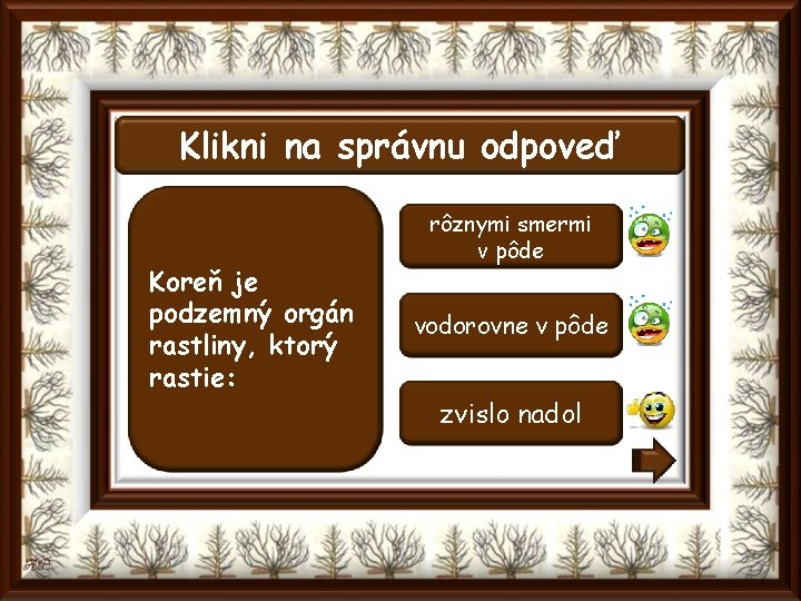 Klikni na správnu odpoveď Koreň je podzemný orgán rastliny, ktorý rastie: rôznymi smermi v