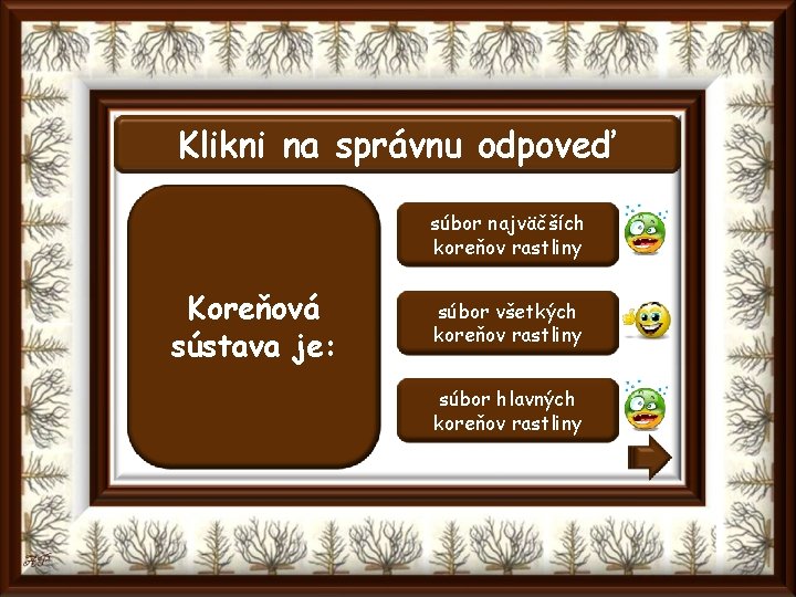 Klikni na správnu odpoveď súbor najväčších koreňov rastliny Koreňová sústava je: súbor všetkých koreňov