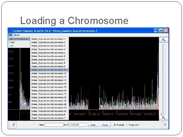 Loading a Chromosome 