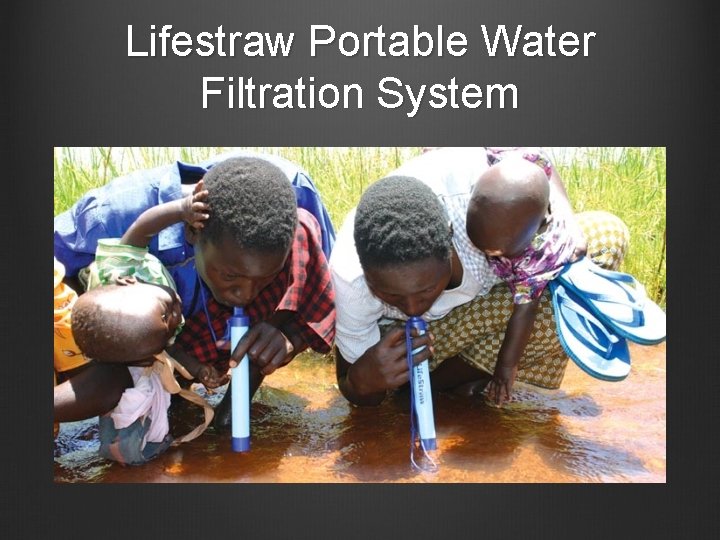 Lifestraw Portable Water Filtration System 