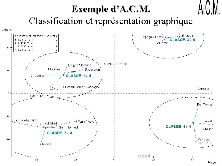 Exemple d’A. C. M. Classification et représentation graphique 