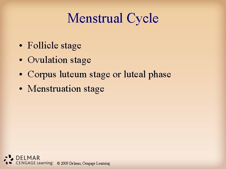 Menstrual Cycle • • Follicle stage Ovulation stage Corpus luteum stage or luteal phase