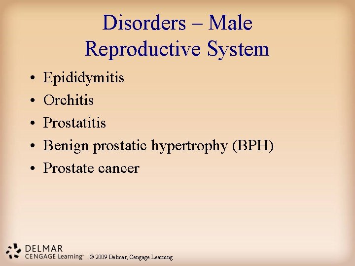 Disorders – Male Reproductive System • • • Epididymitis Orchitis Prostatitis Benign prostatic hypertrophy