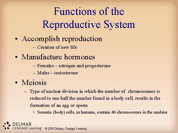 Functions of the Reproductive System • Accomplish reproduction – Creation of new life •