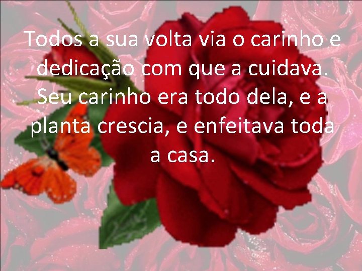 Todos a sua volta via o carinho e dedicação com que a cuidava. Seu