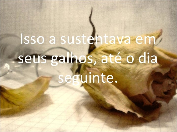 Isso a sustentava em seus galhos, até o dia seguinte. 