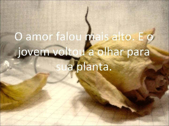 O amor falou mais alto. E o jovem voltou a olhar para sua planta.