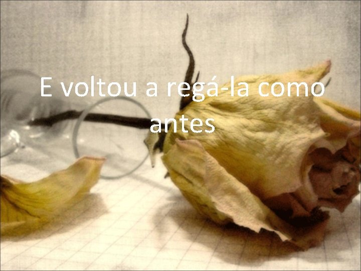 E voltou a regá-la como antes 