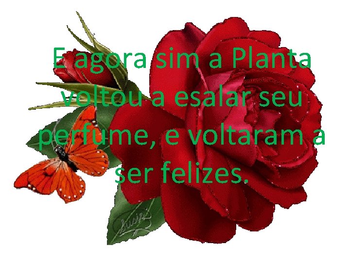 E agora sim a Planta voltou a esalar seu perfume, e voltaram a ser