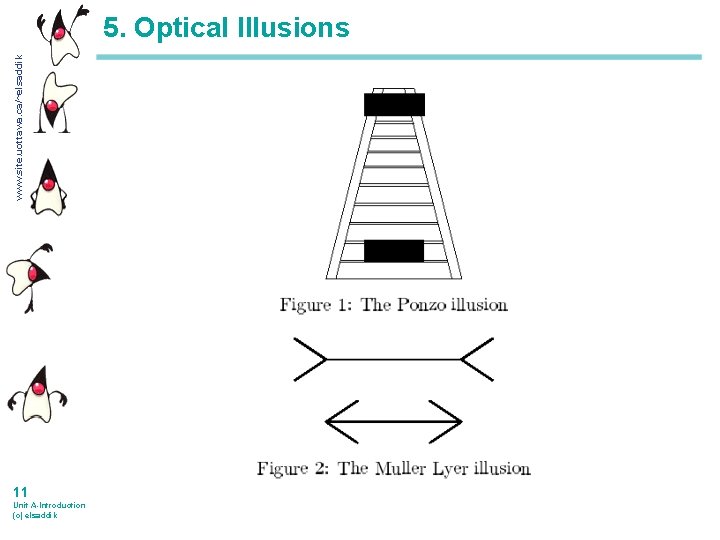 www. site. uottawa. ca/~elsaddik 5. Optical Illusions 11 Unit A-Introduction (c) elsaddik 