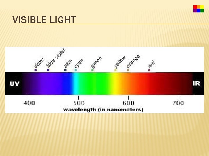 VISIBLE LIGHT 