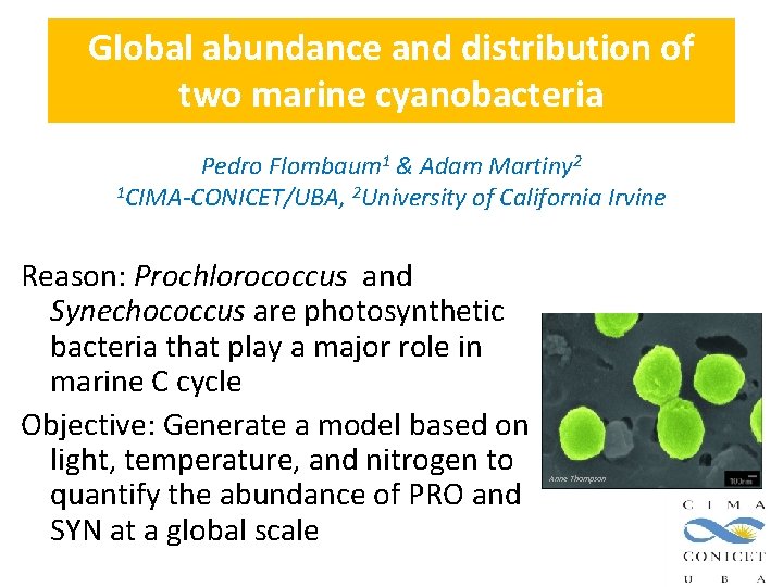 Global abundance and distribution of two marine cyanobacteria Pedro Flombaum 1 & Adam Martiny Global abundance and distribution of two marine cyanobacteria Pedro Flombaum 1 & Adam Martiny
