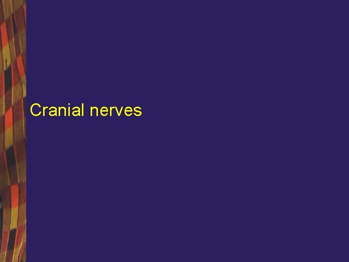 Cranial nerves 