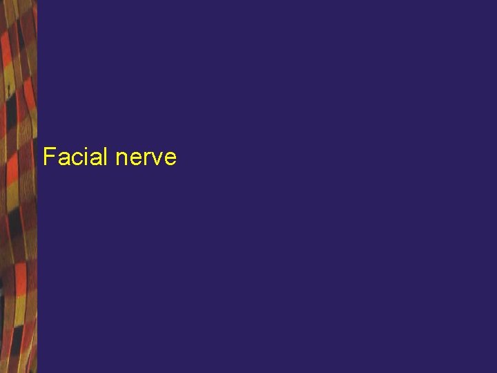 Facial nerve 