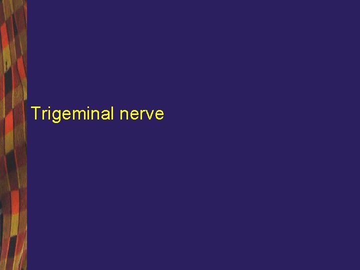 Trigeminal nerve 