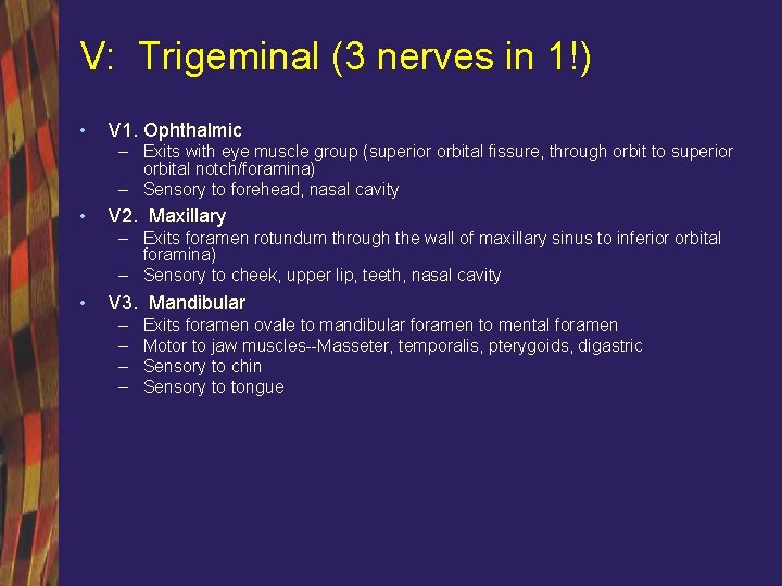 V: Trigeminal (3 nerves in 1!) • V 1. Ophthalmic – Exits with eye