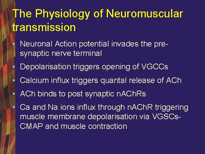 The Physiology of Neuromuscular transmission • Neuronal Action potential invades the presynaptic nerve terminal