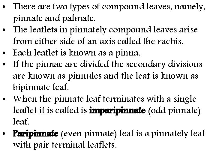  • There are two types of compound leaves, namely, pinnate and palmate. •