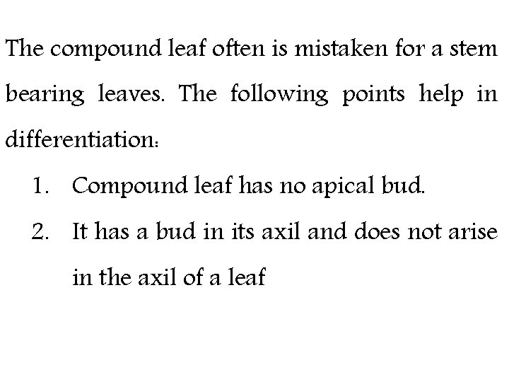 The compound leaf often is mistaken for a stem bearing leaves. The following points