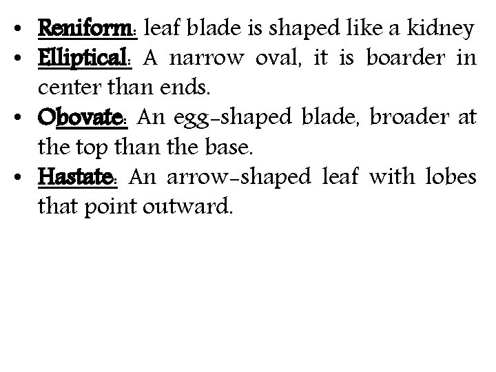  • Reniform: leaf blade is shaped like a kidney • Elliptical: A narrow