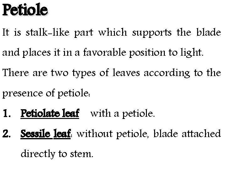 Petiole It is stalk-like part which supports the blade and places it in a