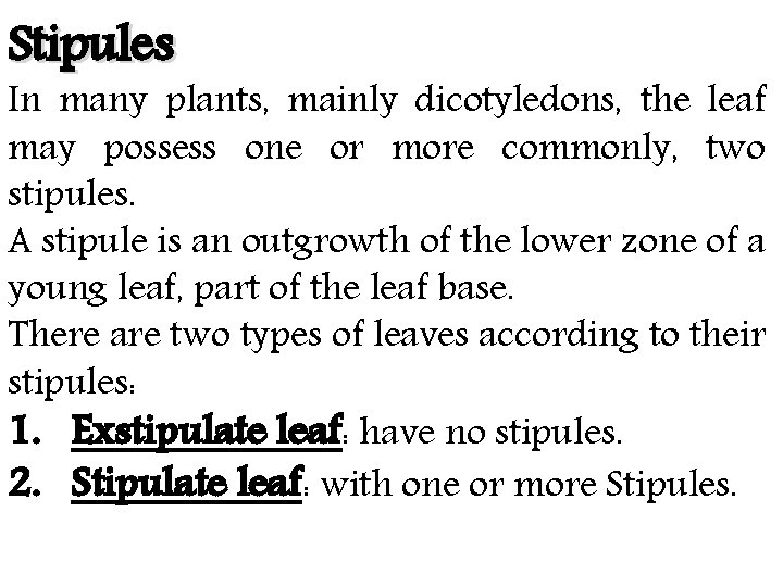 Stipules In many plants, mainly dicotyledons, the leaf may possess one or more commonly,