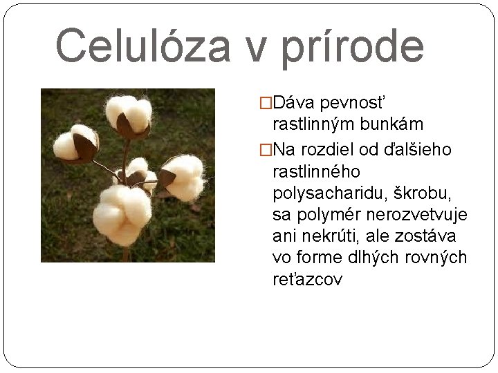 Celulza Zastarano buniina Matej Ki o to je