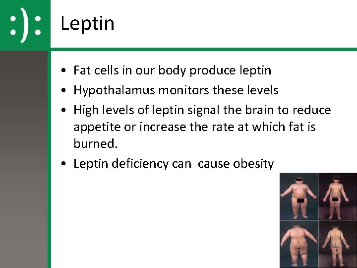 Leptin • Fat cells in our body produce leptin • Hypothalamus monitors these levels