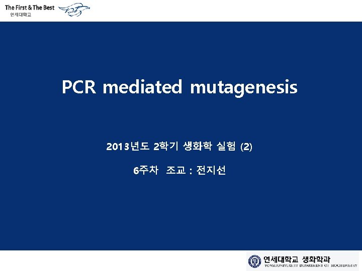 PCR mediated mutagenesis 2013년도 2학기 생화학 실험 (2) 6주차 조교 : 전지선 